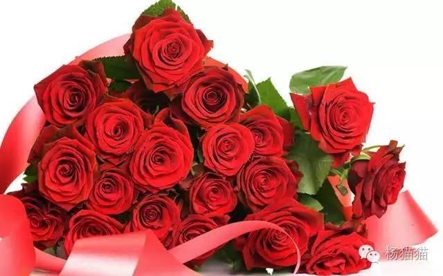 21朵玫瑰花代表的含义是什么（玫瑰花语和寓意）