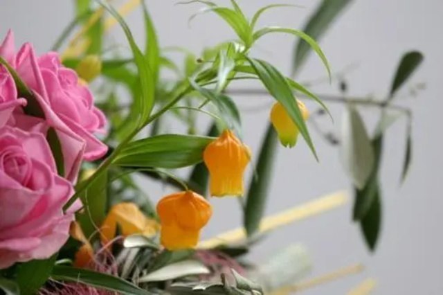 圣诞百合的花语是什么？