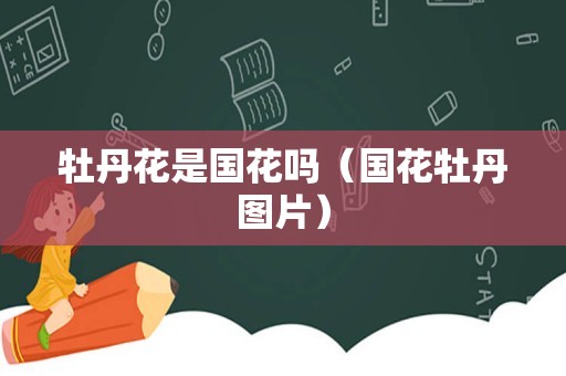 牡丹花是国花吗（国花牡丹图片）