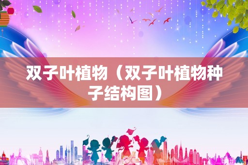 双子叶植物（双子叶植物种子结构图）