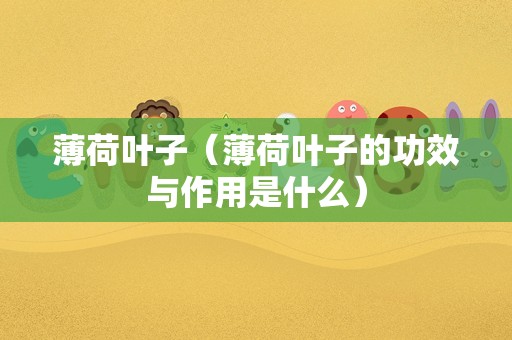 薄荷叶子（薄荷叶子的功效与作用是什么）