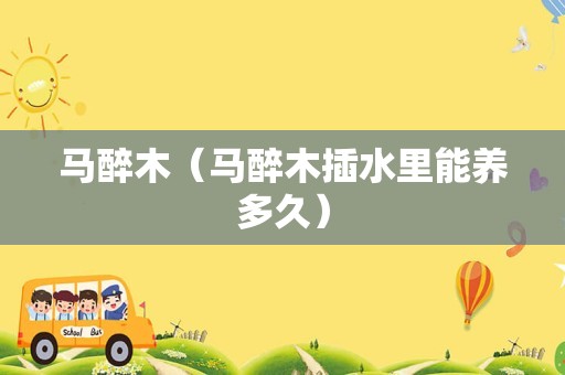 马醉木（马醉木插水里能养多久）