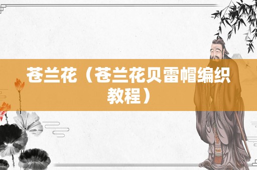 苍兰花（苍兰花贝雷帽编织教程）