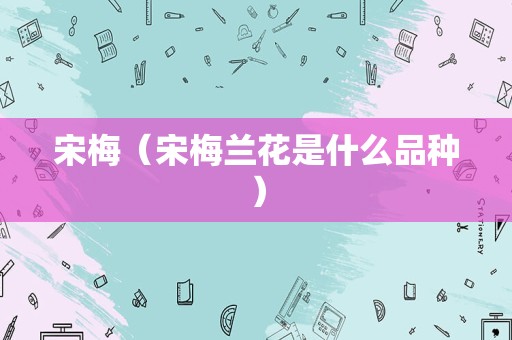宋梅（宋梅兰花是什么品种）