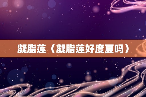 凝脂莲（凝脂莲好度夏吗）