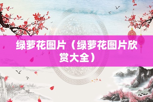 绿萝花图片（绿萝花图片欣赏大全）