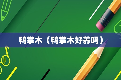鸭掌木（鸭掌木好养吗）
