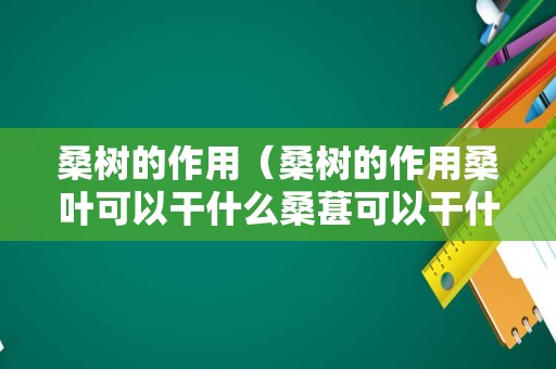 桑树的作用（桑树的作用桑叶可以干什么桑葚可以干什么）