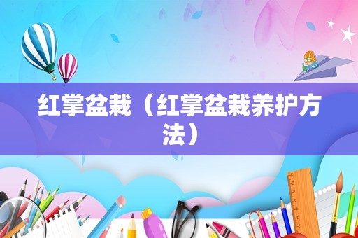 红掌盆栽（红掌盆栽养护方法）
