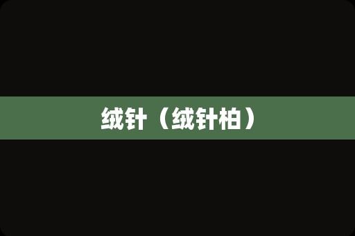 绒针（绒针柏）