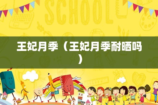 王妃月季（王妃月季耐晒吗）