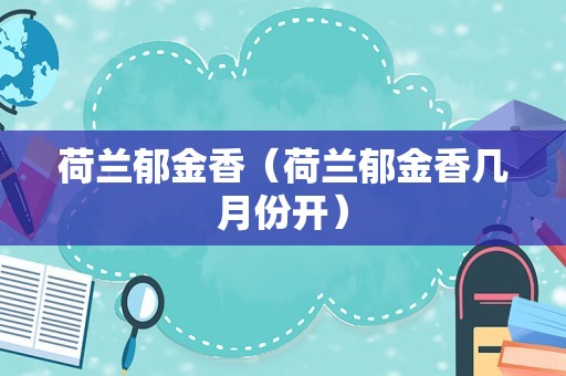荷兰郁金香（荷兰郁金香几月份开）