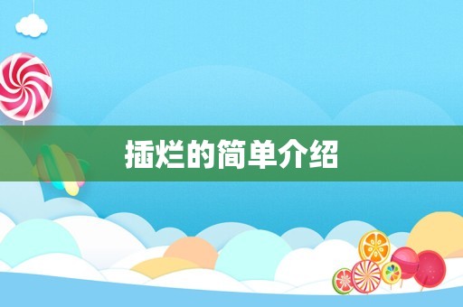 插烂的简单介绍