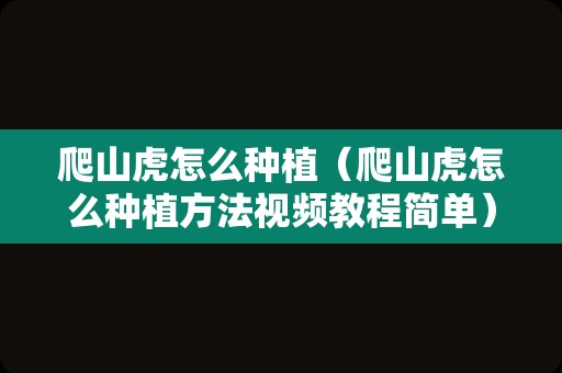 爬山虎怎么种植（爬山虎怎么种植方法视频教程简单）