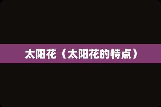 太阳花（太阳花的特点）