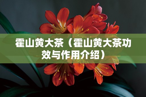 霍山黄大茶（霍山黄大茶功效与作用介绍）