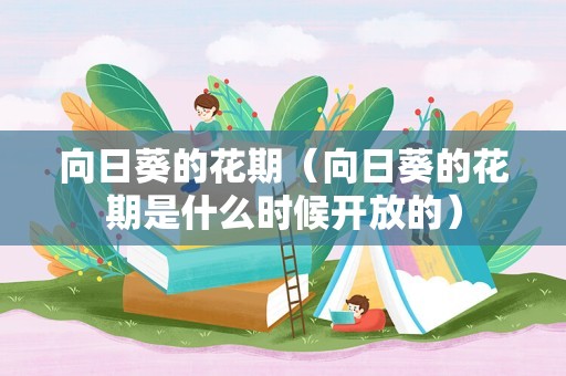 向日葵的花期（向日葵的花期是什么时候开放的）