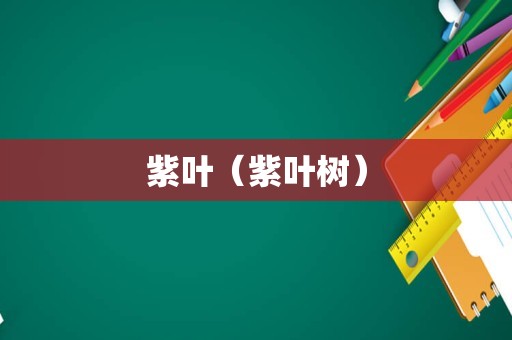 紫叶（紫叶树）