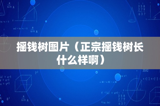 摇钱树图片（正宗摇钱树长什么样啊）