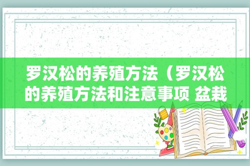 罗汉松的养殖方法（罗汉松的养殖方法和注意事项 盆栽）