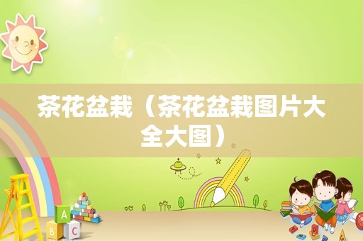 茶花盆栽（茶花盆栽图片大全大图）