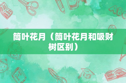 筒叶花月（筒叶花月和吸财树区别）