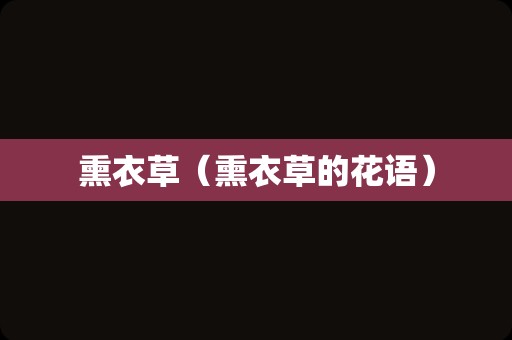 熏衣草（熏衣草的花语）