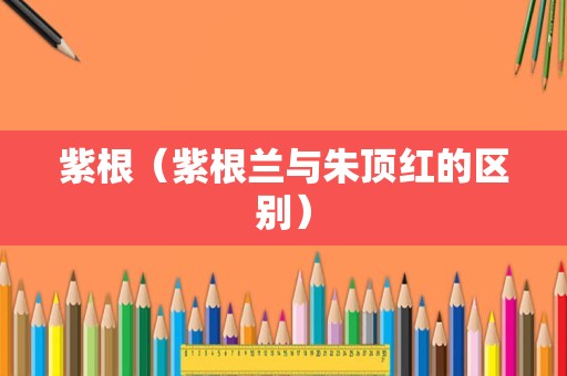 紫根（紫根兰与朱顶红的区别）