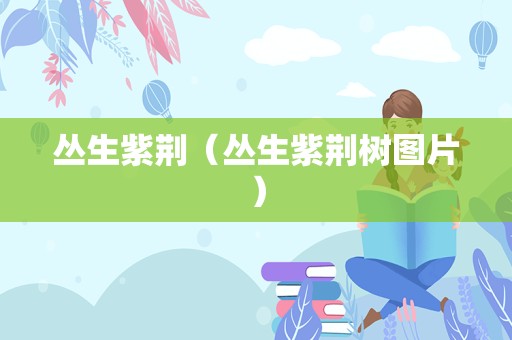 丛生紫荆（丛生紫荆树图片）