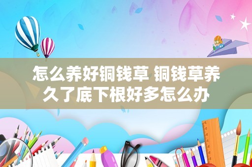 怎么养好铜钱草 铜钱草养久了底下根好多怎么办
