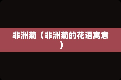 非洲菊（非洲菊的花语寓意）