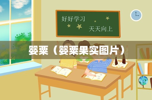 婴粟（婴粟果实图片）