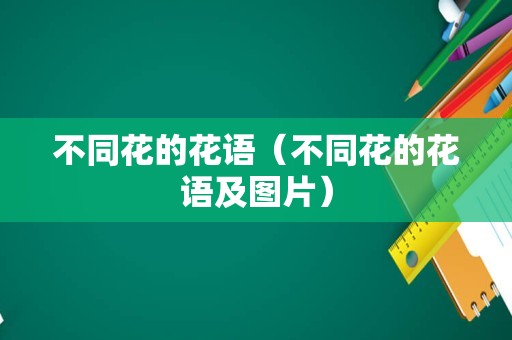 不同花的花语（不同花的花语及图片）