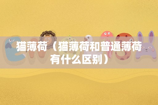 猫薄荷（猫薄荷和普通薄荷有什么区别）