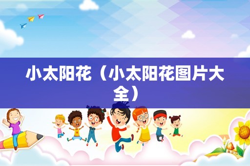小太阳花（小太阳花图片大全）