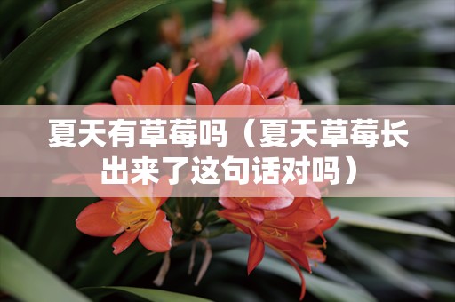 夏天有草莓吗（夏天草莓长出来了这句话对吗）