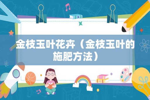 金枝玉叶花卉（金枝玉叶的施肥方法）