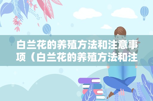 白兰花的养殖方法和注意事项（白兰花的养殖方法和注意事项视频）