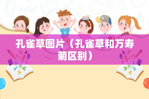 孔雀草图片（孔雀草和万寿菊区别）