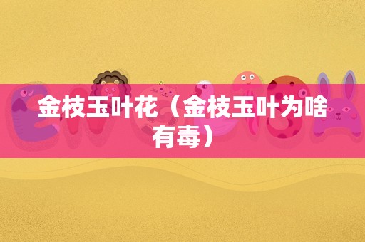 金枝玉叶花（金枝玉叶为啥有毒）