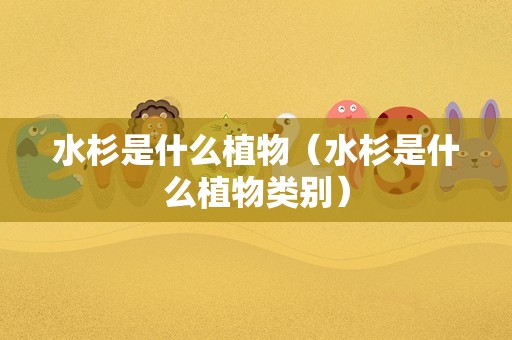 水杉是什么植物（水杉是什么植物类别）