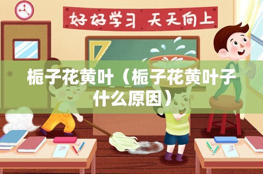 栀子花黄叶（栀子花黄叶子什么原因）