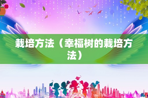 栽培方法（幸福树的栽培方法）