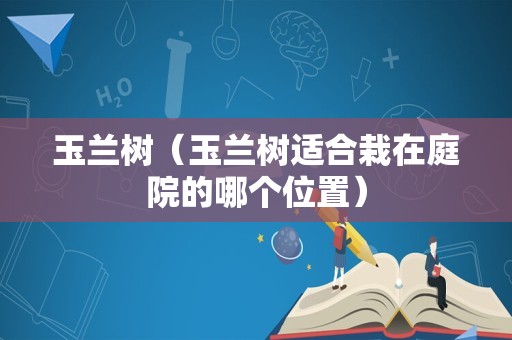 玉兰树（玉兰树适合栽在庭院的哪个位置）