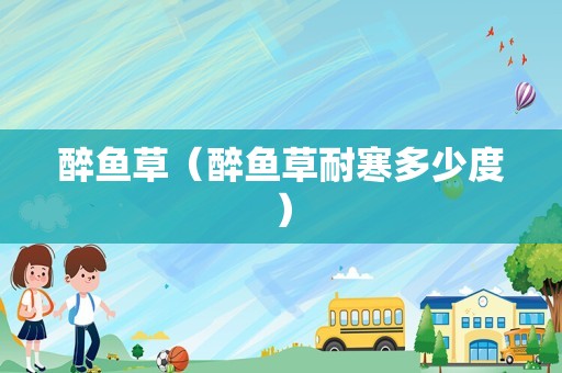 醉鱼草（醉鱼草耐寒多少度）