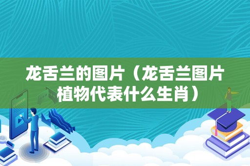 龙舌兰的图片（龙舌兰图片 植物代表什么生肖）