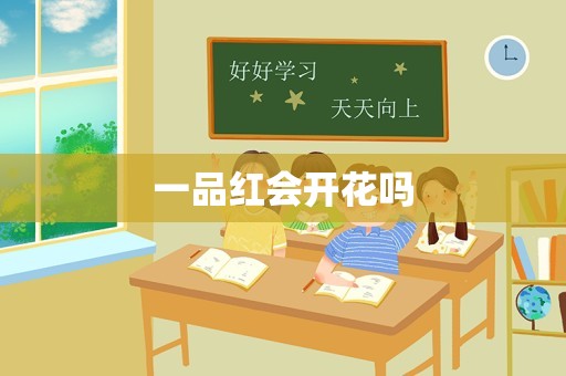 一品红会开花吗