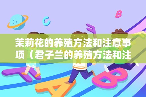 茉莉花的养殖方法和注意事项（君子兰的养殖方法和注意事项）