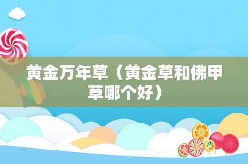 黄金万年草（黄金草和佛甲草哪个好）