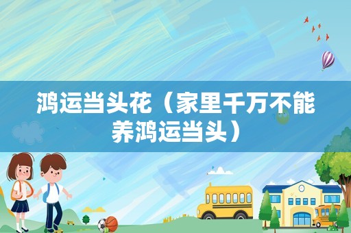 鸿运当头花（家里千万不能养鸿运当头）